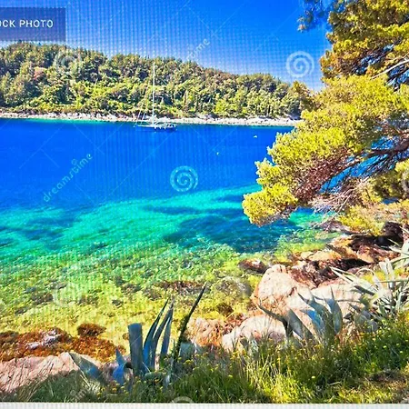 Mazza House Cavtat With Sea View-Center Apartment Exterior photo