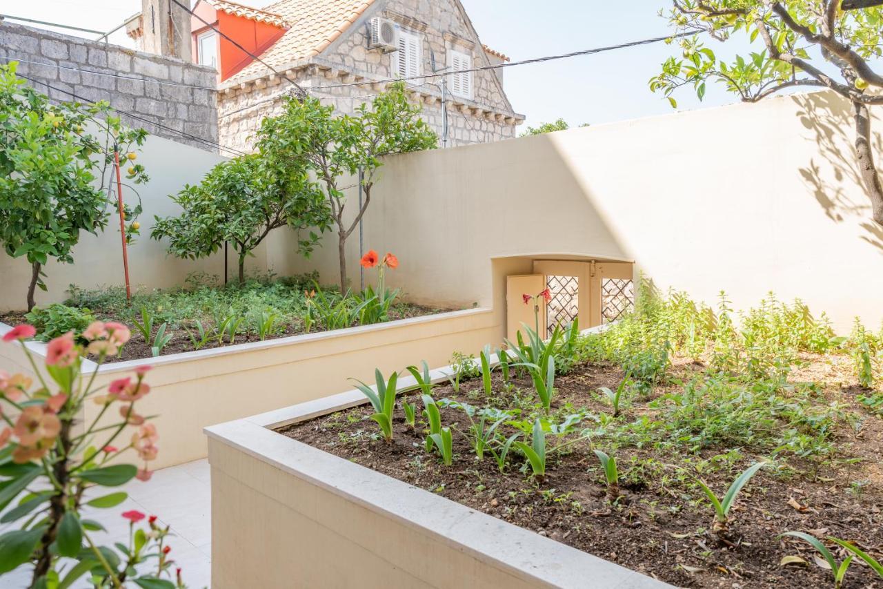 Mazza House With Sea View-center Apartment *