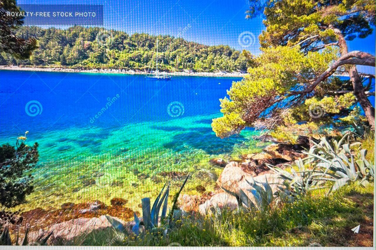 Mazza House With Sea View-center Apartment Cavtat